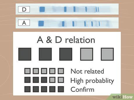 how to read electrophoresis|8.3: Electrophoresis .